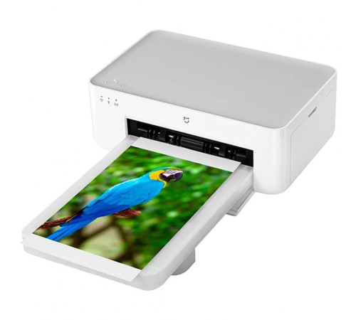 Мобильный принтер Xiaomi Instant Photo Printer 1S Set BHR6747GL