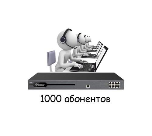 Лицензия Yeastar P570 Plus Plan License