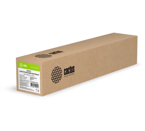 Холст Cactus CS-MC260-61030