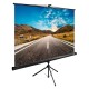 Экран Cactus CS-PSTE-160X160-BK