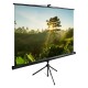 Экран Cactus CS-PSTE-200X200-BK