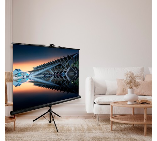 Экран Cactus CS-PSTE-220X220-BK