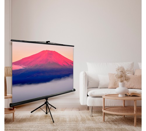 Экран Cactus CS-PSTE-200X150-BK