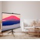 Экран Cactus CS-PSTE-200X150-BK