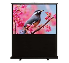Экран Cactus CS-PSFLCE-120X90