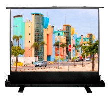 Экран Cactus CS-PSFLE-160X120