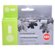 Картридж струйный Cactus CS-PGI480XXLBK