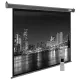 Экран Cactus CS-PSSME-280X175-DG