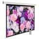 Экран Cactus CS-PSSME-240X150-WT