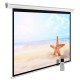 Экран Cactus CS-PSSME-280X175-WT