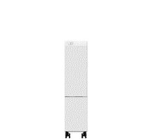 Модуль Xerox 450S03139