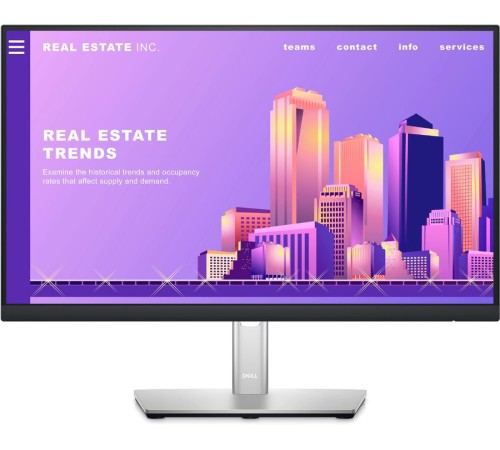 Монитор Dell P2422H (210-AZYX)