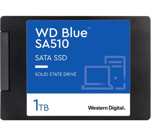Жёсткий диск Western Digital WDS100T3B0A