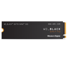 Жёсткий диск Western Digital WDS100T3X0E