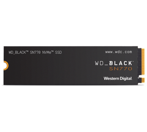 Жёсткий диск Western Digital WDS100T3X0E