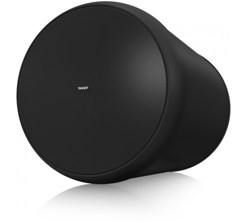 Громкоговоритель Tannoy OCV 6