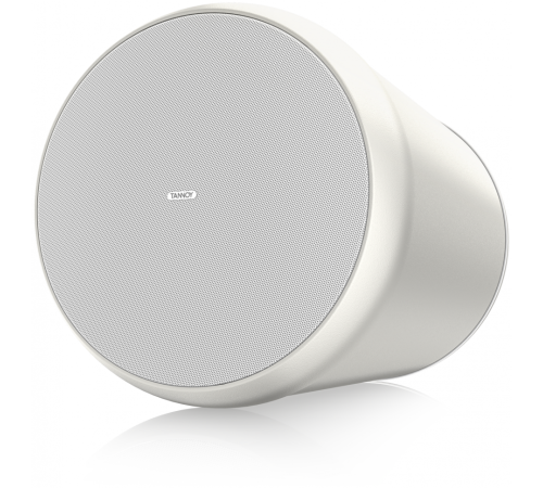 Громкоговоритель Tannoy OCV 6-WH