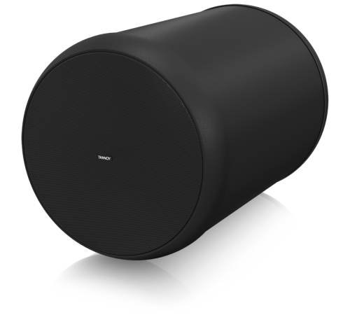 Громкоговоритель Tannoy OCV 8