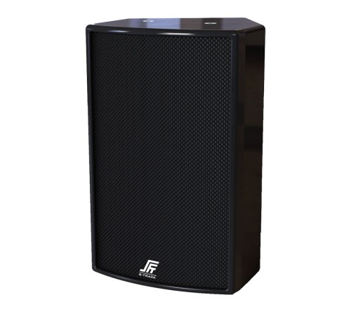 Громкоговоритель S-Track EAGLE DP6