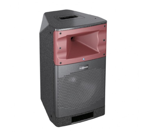 Акустическая система Audiocenter SA310
