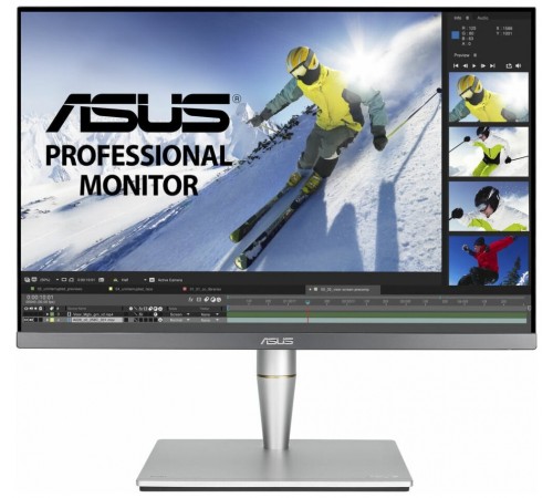 Монитор Asus ProArt PA248CNV (90LM05K1-B03370)