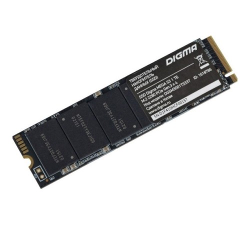 Жёсткий диск Digma DGSM3001TS33T