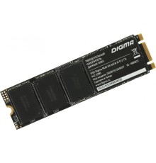 Жёсткий диск Digma DGSR1256GS93T