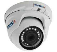 IP-камера Trassir TR-D8121IR2 (2.8 MM)