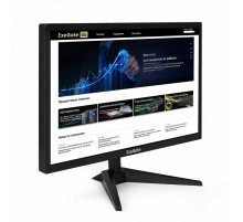 Монитор ExeGate EB2400 (EX294424RUS)