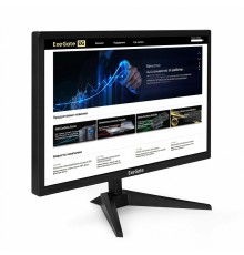 Монитор ExeGate EB2400 (EX294424RUS)