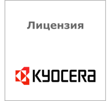 Лицензия Kyocera (эл.ключ) Kyocera UG-36 (1603TL0NL0)