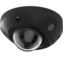 IP-камера Hikvision DS-2CD2543G2-IS(2.8mm)(BLACK)