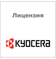 Лицензия Kyocera 1603TM0NL0