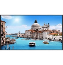 Монитор Dahua DHI-LM43-S200