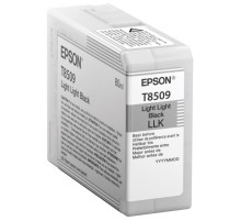 Картридж Epson C13T850900
