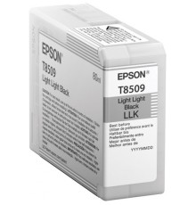 Картридж Epson C13T850900