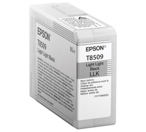Картридж Epson C13T850900