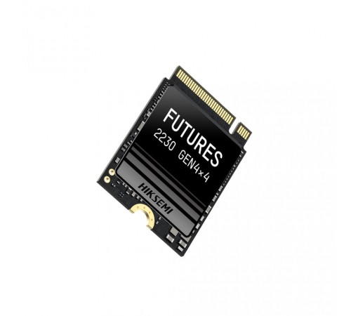 SSD накопитель Hikvision M.2 2230 (HS-SSD-FUTURES 1024)