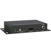 Преобразователь Digis SS-AC1-4K2