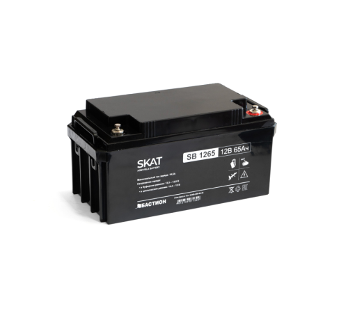 Аккумулятор Бастион SKAT SB 1265 (8972)