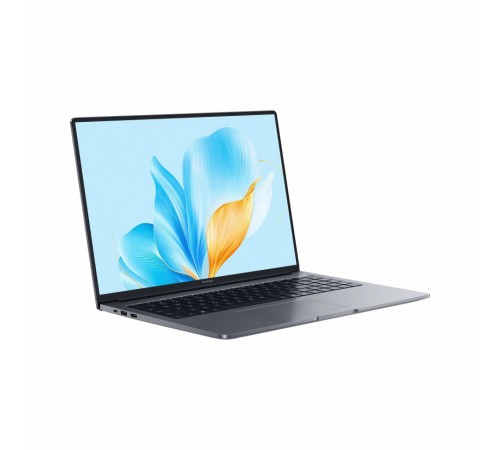 Ноутбук Honor MagicBook X16 2025 (5301ALXS)