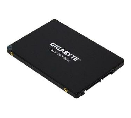 SSD накопитель Gigabyte 256Gb (GP-GSTFS31256GTND)