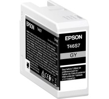 Картридж Epson C13T46S700