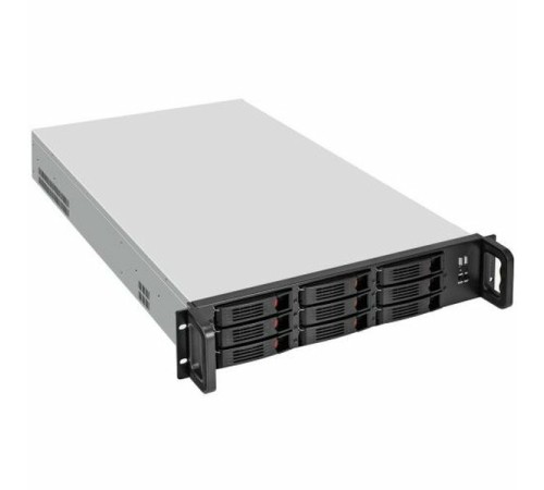 Серверная платформа ExeGate Pro 2U650-HS09 (EX294281RUS)
