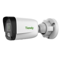 IP-камера Tiandy TC-C32QN I5W/WIFI/EU/2.8/V4.0