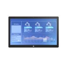 Монитор IEI DM2-W238KL