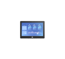 Монитор IEI DM2-W101GL