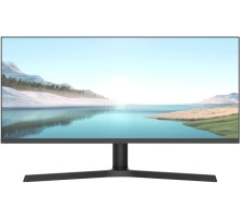Монитор NPC MZ300L