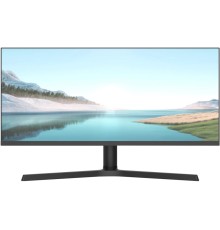Монитор NPC MZ300L