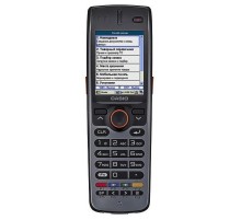 Терминал сбора данных Casio DT-X100 (DT-X100-20E)